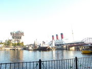 p_}jÂrDrDRrA̓eʐ^1