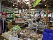 Ƃ񂳂̊Ĉӂ邳Ɗق̓eʐ^5