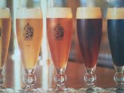 ܂낿񂳂̓ߐ{r[̓eʐ^1