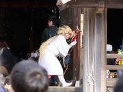 Ƃ񂳂̖@؏@{R {̓eʐ^4