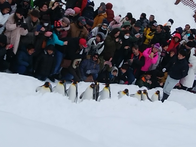 ���N���N_���R������