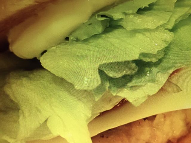 }񂳂̃Xo[K[mX̓eʐ^1