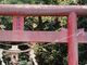 フルスピードさんの愛宕神社（鹿児島県姶良市）の投稿写真1