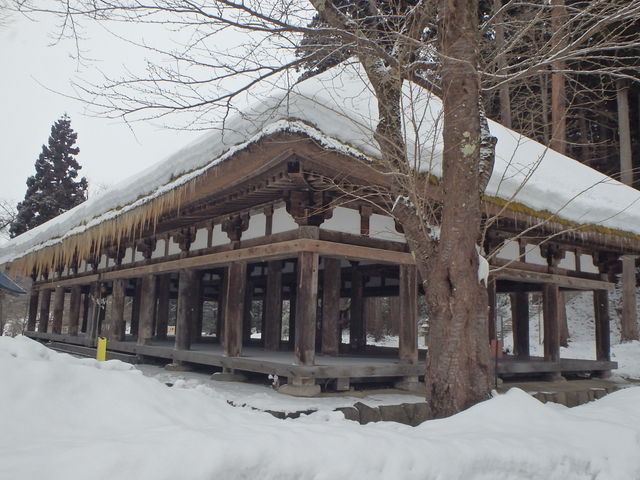 @E̒iオƌFRГa_V{F_