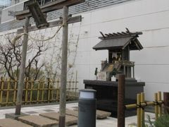 Ⴝ낤̃][i@o__Ђւ̓eʐ^1