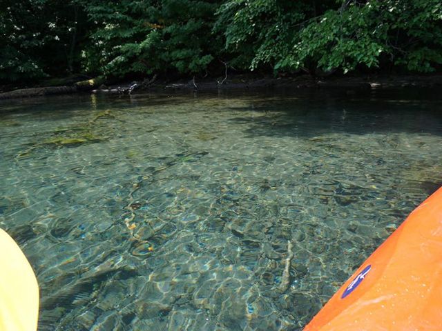 �J�k�[�c�A�[_�\�a�c�΃p���[�X�|�b�g�N���[�Y