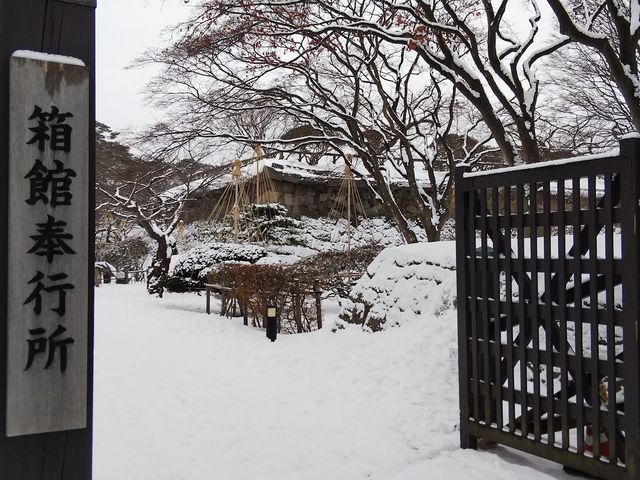 ��_�ܗŊs��