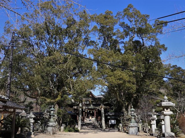 Yanwenli̋g_Ж{aEqaEaE_E̓eʐ^7