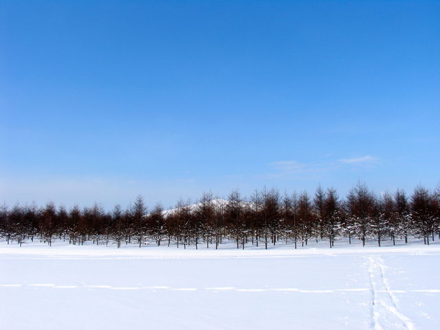 �ጴ_���G��������