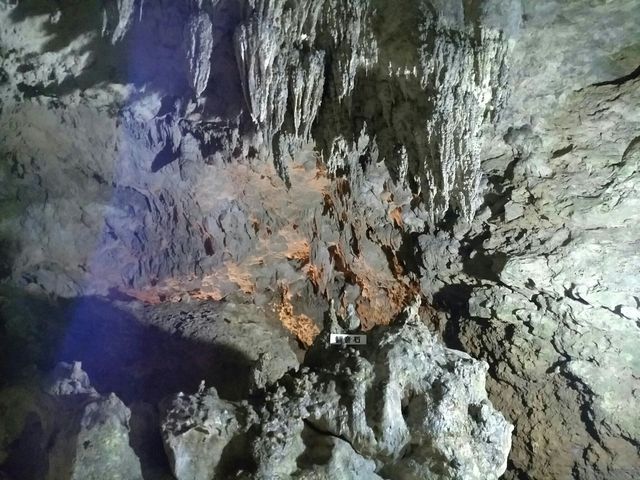 �J�̓��ɍs���ꏊ�Ƃ��Ă������߂��󂯁A�s���Ă��܂����B_�Ί_���ߓ���