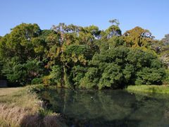 HISA҂񂳂̐̕Xւ̓eʐ^1