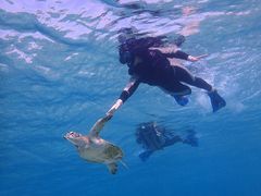 ܂񂳂̊CكV[u[ւ̓eʐ^1