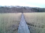 ̂ققC̃oMΗV̓eʐ^1