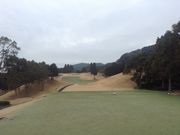 Ё[񂳂̃}OK[Jg[Nu̓eʐ^2