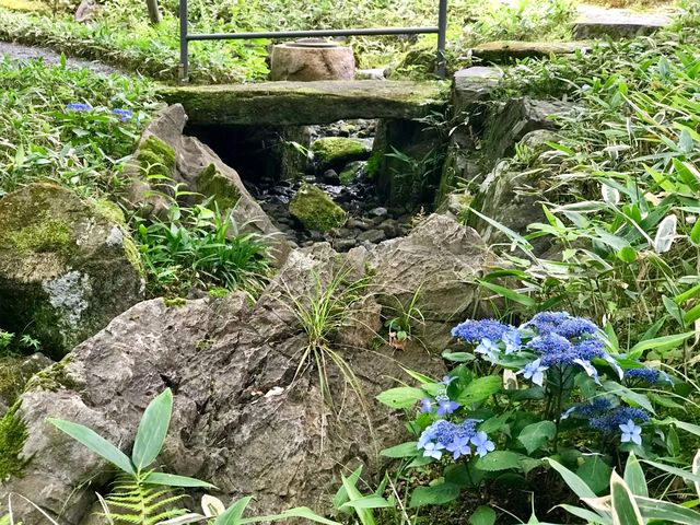 �y����b�ώR���z���z�Ԃ̍��̊ݕ�_����b�ώR��