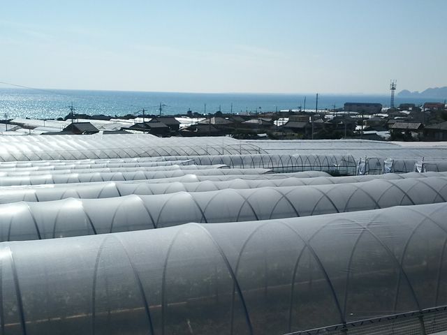 �����_���̃n�E�X���猩���v�\�C��_�����_��