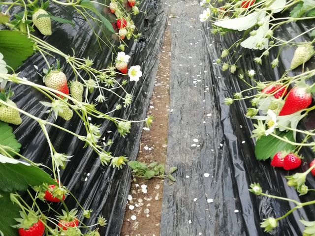 �n�E�X_������������