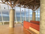 jjM̓̏oW]䃉E[i̓eʐ^2