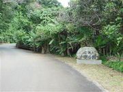 ÐhF̋vēz^ق̓eʐ^1