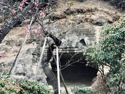 ߂̂̐򎛂̃E̓eʐ^3