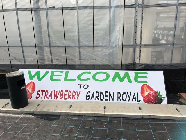 WELCOME TO STRAWBERRY
GARDEN ROYAL_STRAWBERRY GARDEN ROYAL