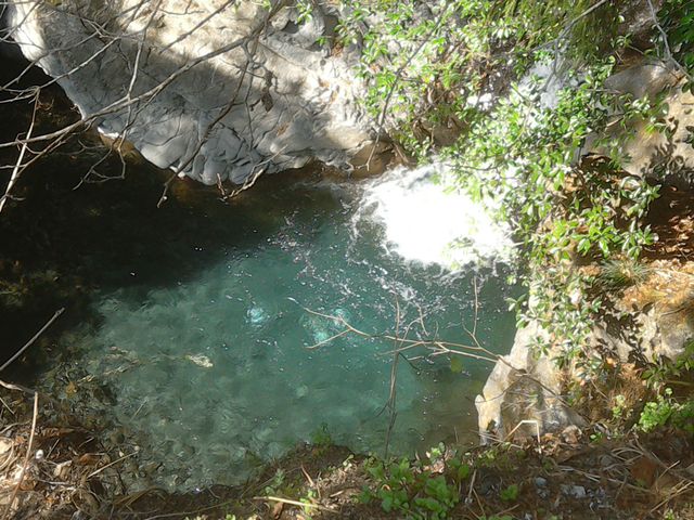 �G�������h�F�̑��_�����k�J