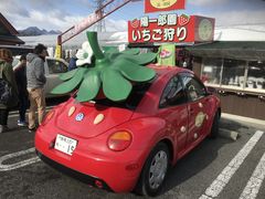 STRAWBERRY FARM@zY̎ʐ^1