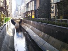 Hirotan̏aJXg[ւ̓eʐ^1