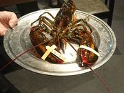 Ƃ̃bhuX^[ ANAVeBX̓eʐ^3