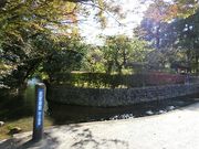 ɂǂ񂳂̕БqƒƉ~i։Ɓj̓eʐ^2