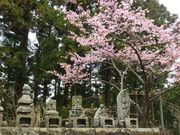 jR񂳂̍ŖjՌ̓eʐ^1