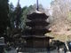 みきちんさんの安楽寺八角三重塔の投稿写真2