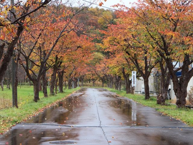 東明公園 アクセス 営業時間 料金情報 じゃらんnet