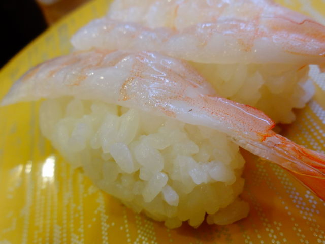 ǁ[̂ώi LёX̓eʐ^1