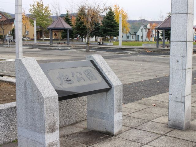 ������_������