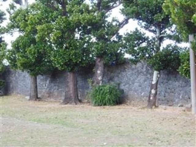 ÐhF̋ԐؑՐୂ̓eʐ^5