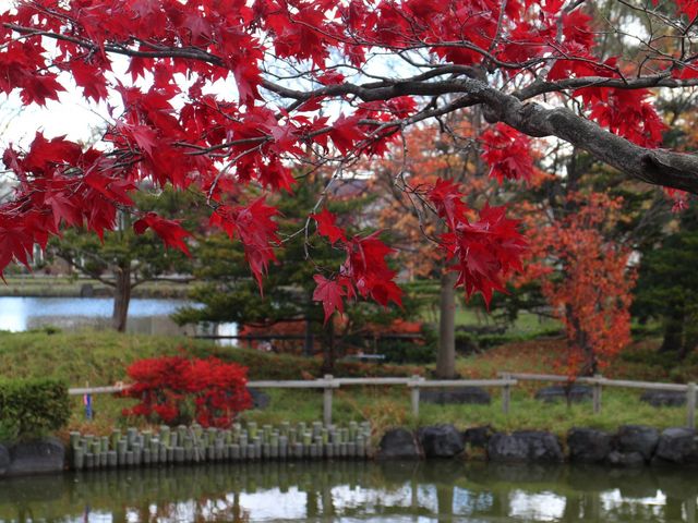 �r�ƍg�t_�a�c����