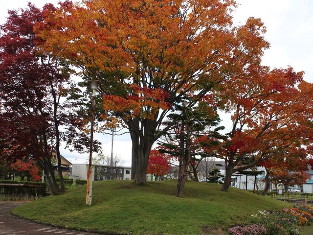 �g�t���I��肻��_�a�c����