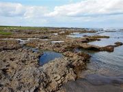 ÐhF̔Mы̉Ƃ̓eʐ^1