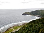 �Ðh�F����̔䉮��o���^�W�]��̓��e�ʐ^3