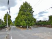 ÐhF̐^ӂ̃`؂̓eʐ^1