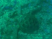 ÐhF̃C[tX|[cNuiKcnDgj̓eʐ^4