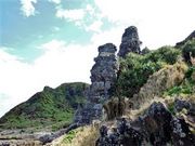 �Ðh�F����̃^�`�W���~�i���_�j�̓��e�ʐ^4