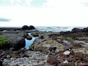 �Ðh�F����̃^�`�W���~�i���_�j�̓��e�ʐ^6