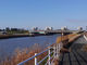 JOEさんの高瀬川の投稿写真1