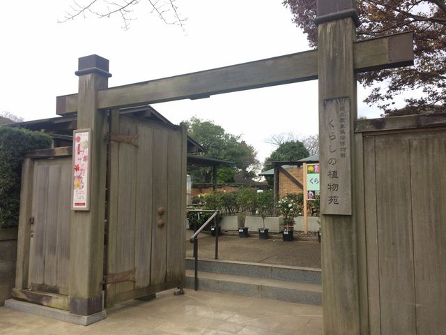�`���Ƒ��Ԃ�_�������j����������