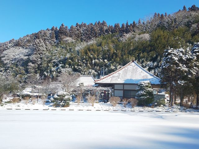 䂤񂳂̎lǎn̓eʐ^1