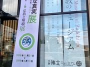 }X^[h̋sŗ~[WA̓eʐ^1