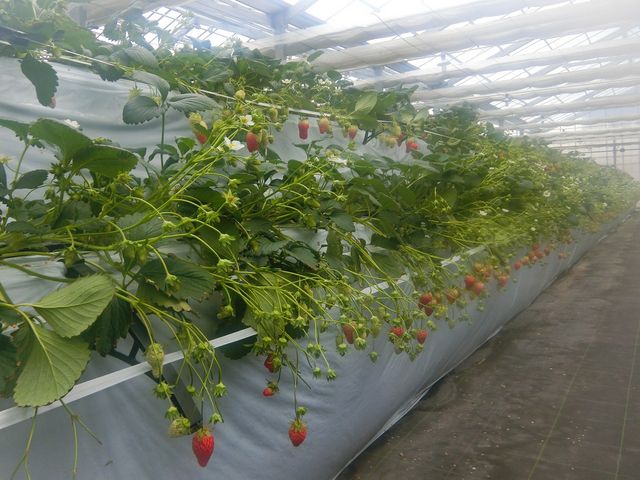 ���i�͔|�Ȃ̂ł����܂��ɓE�ݎ��_�A�O���p�[�N���킫�ό���������