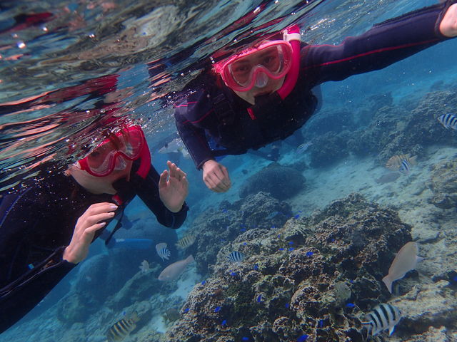 �����ŉj���ł鎞�̎ʐ^�ł�(^^)_�_�C�r���O�V���b�v�@SeaFree